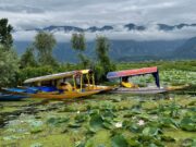 Kashmir’s post-pandemic popularity as travel destination on surge: HAI report