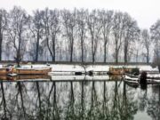 Night temperature rises in Kashmir, rain and snow likely over next week in J&K