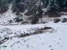 WD likely to trigger moderate rain, snowfall from Saturday over J&K: MeT