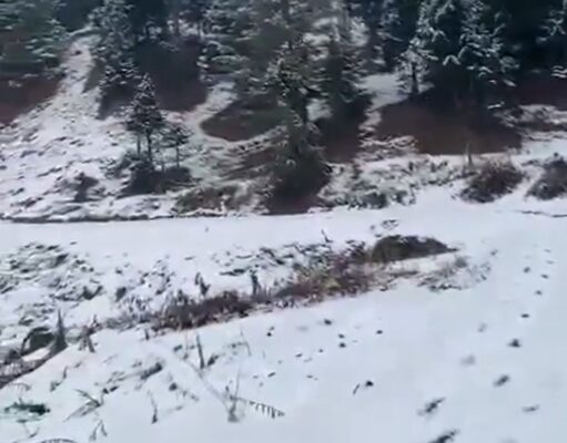 WD likely to trigger moderate rain, snowfall from Saturday over J&K: MeT