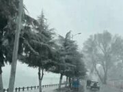 Fresh snowfall blankets Kashmir, Gulmarg records minus 10.6 deg C